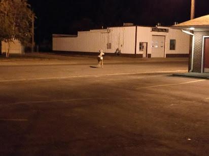 Yellowstone Motel Greybull Bagian luar foto